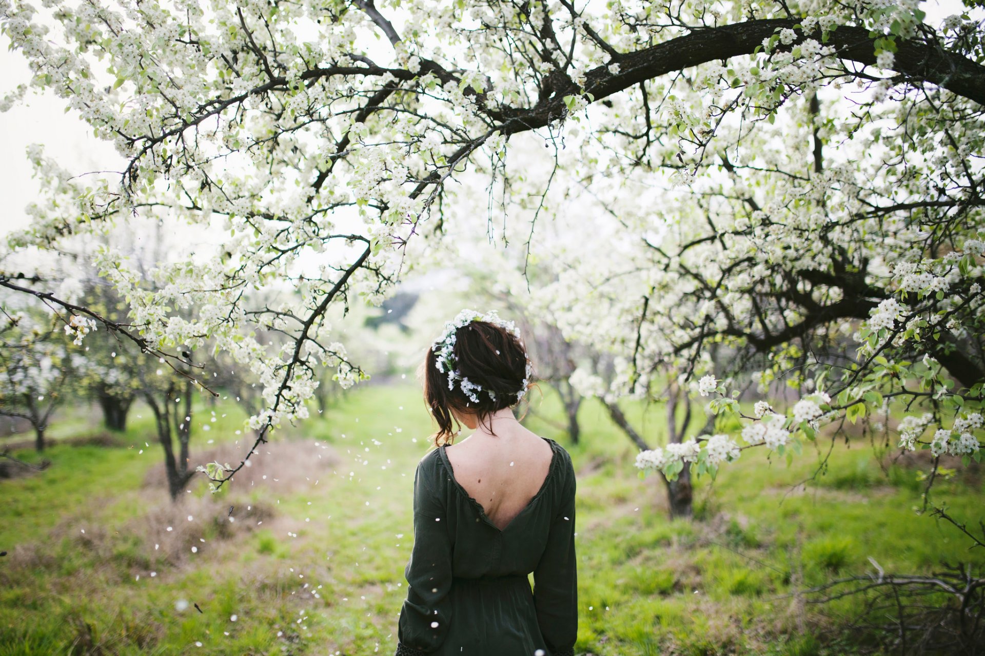 printemps fille floraison couronne