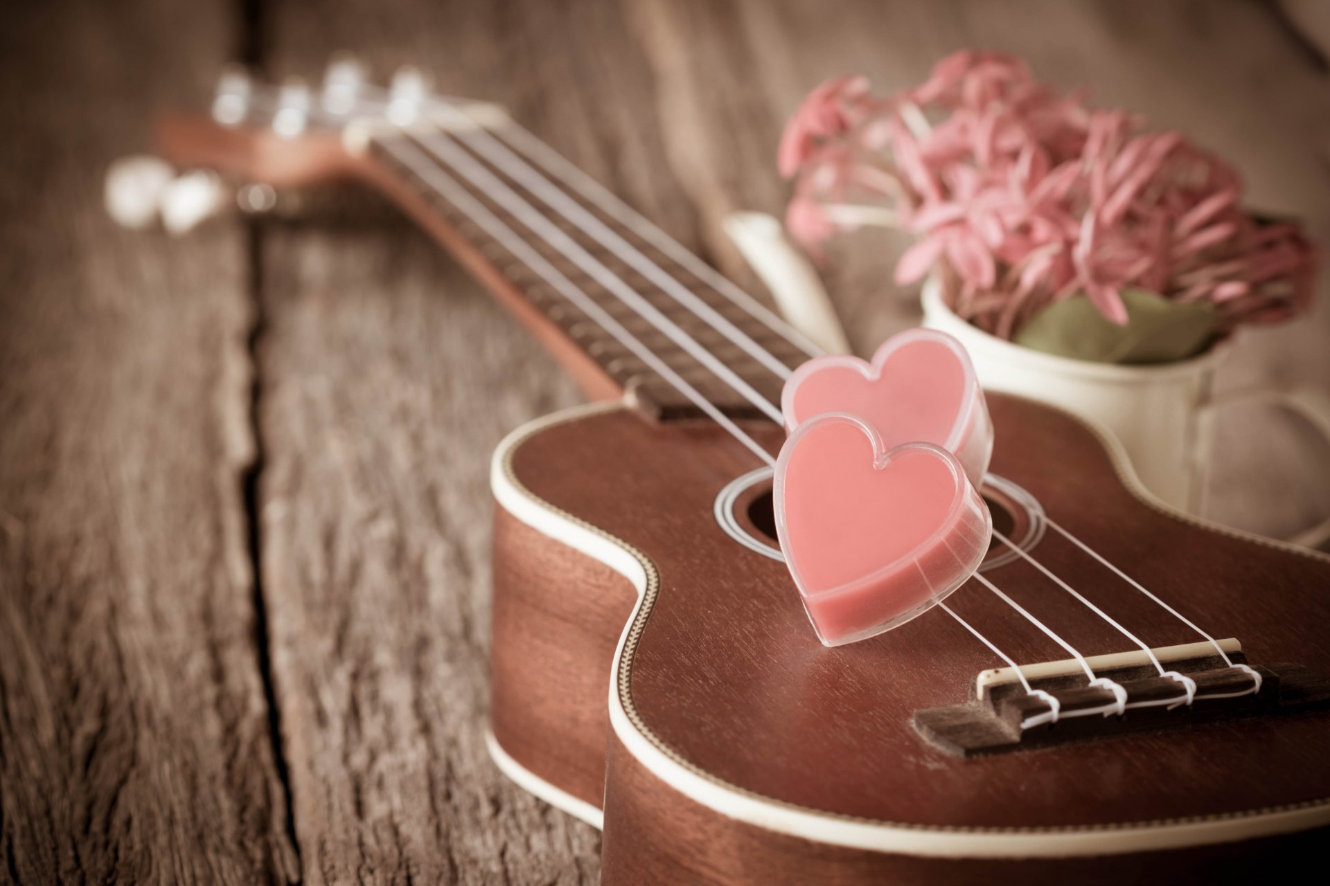 vintage love heart romantic guitars flower