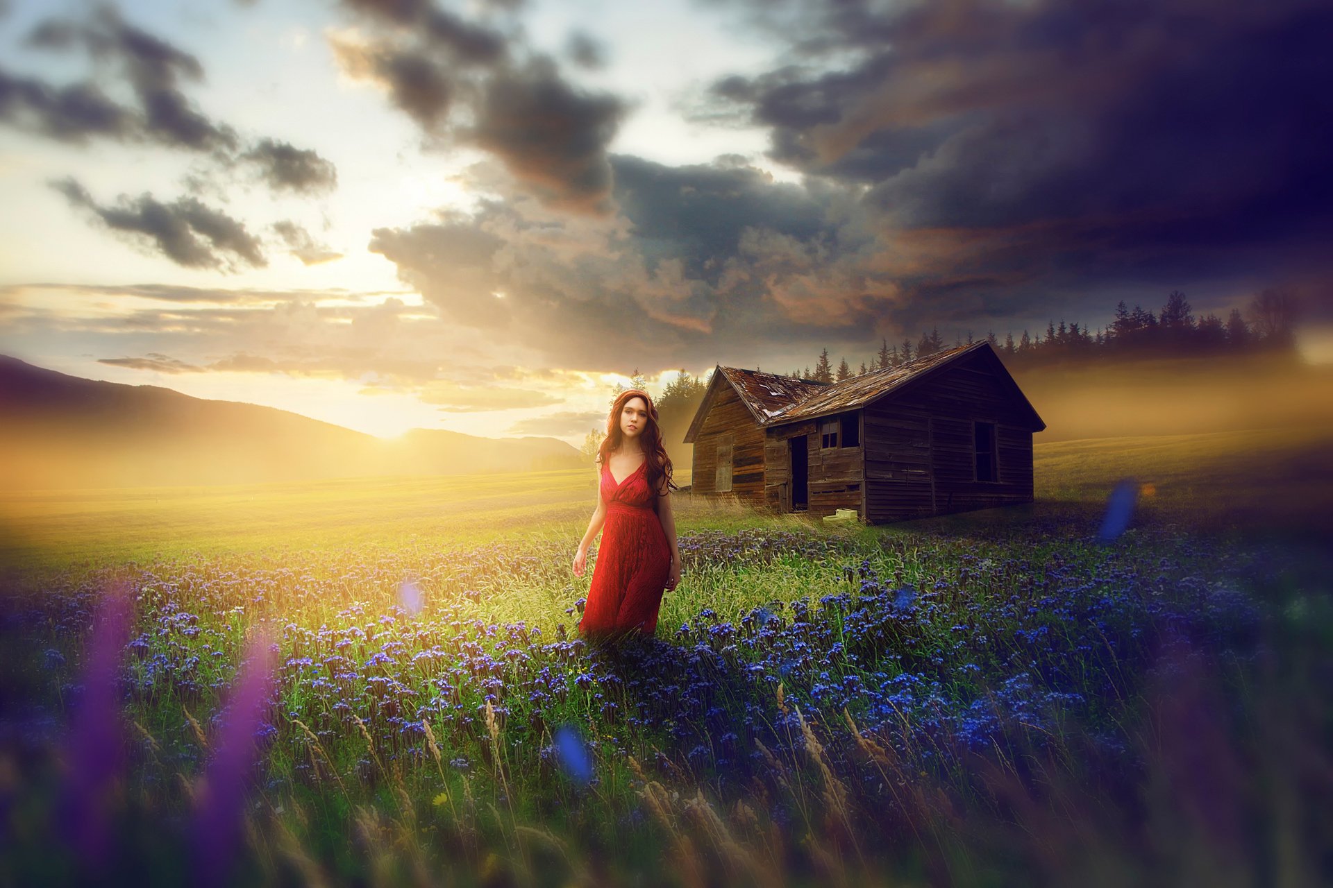 girl in red dress the field meadow flower sarah fine art