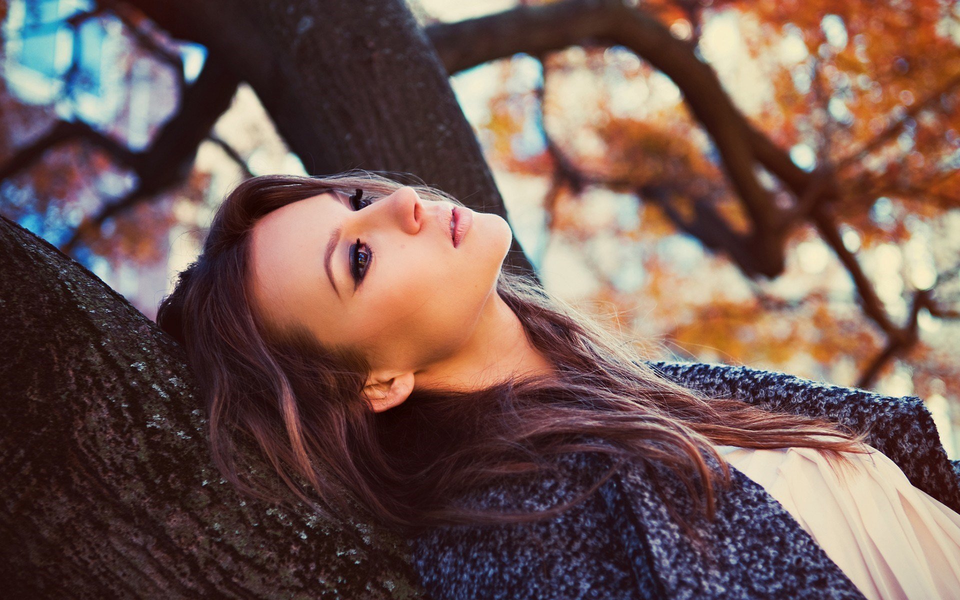 mädchen blick baum haare gesicht