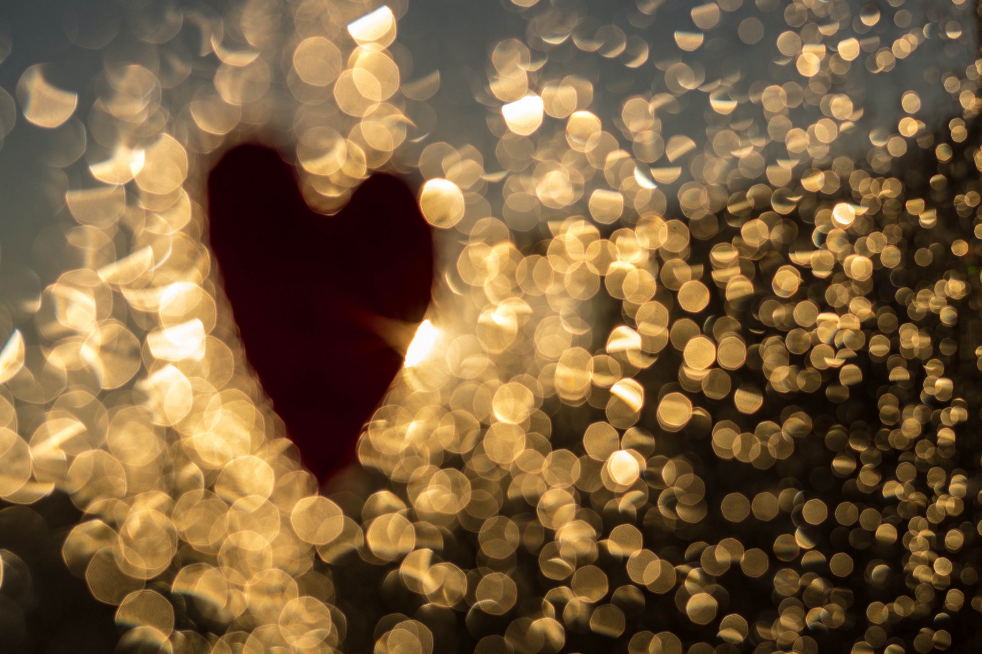 bokeh heart heart macro light