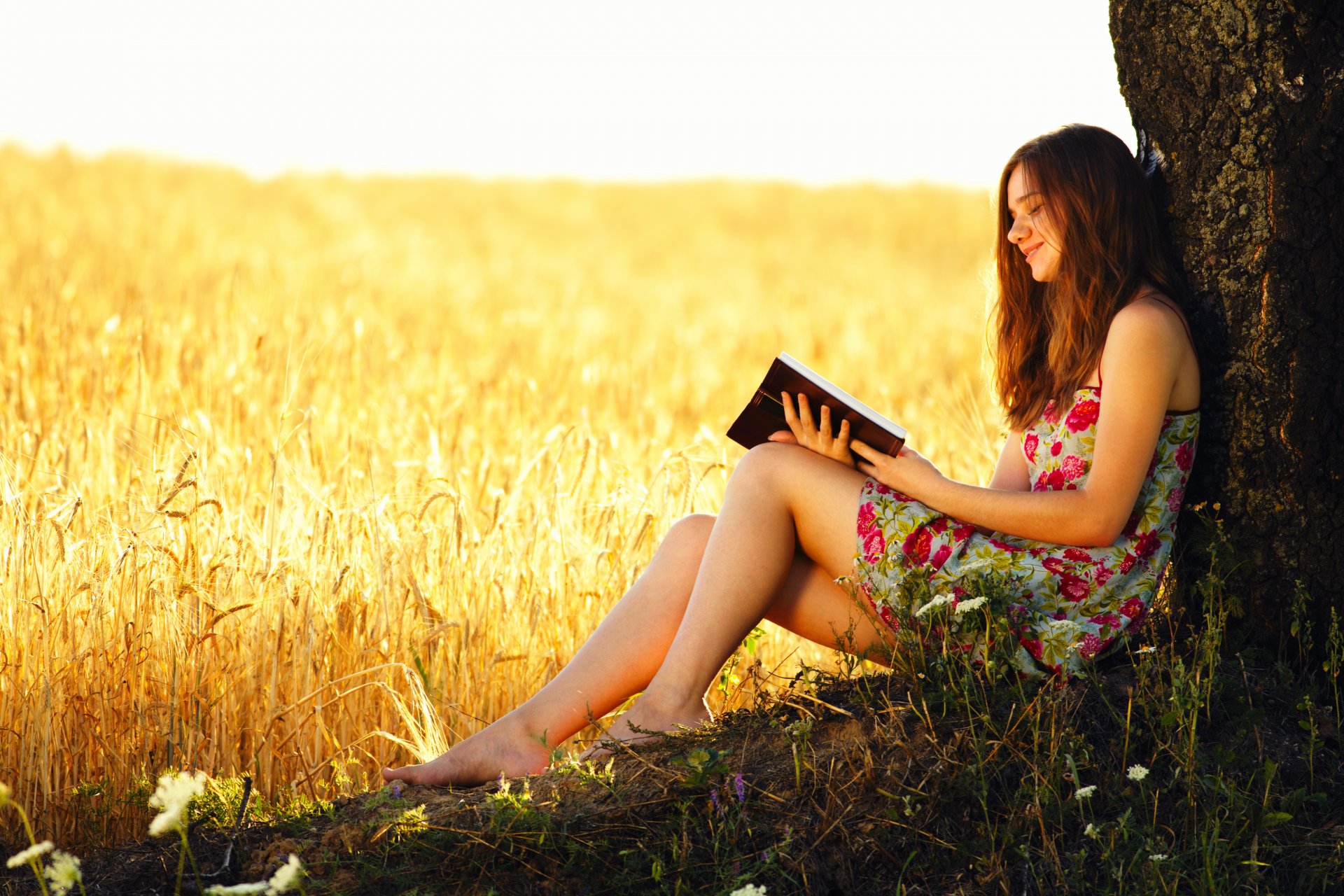 campo grano spighe albero ragazza libro lettura