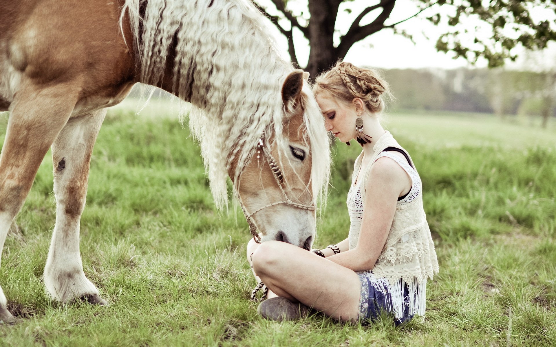 la jeune fille le cheval l humeur