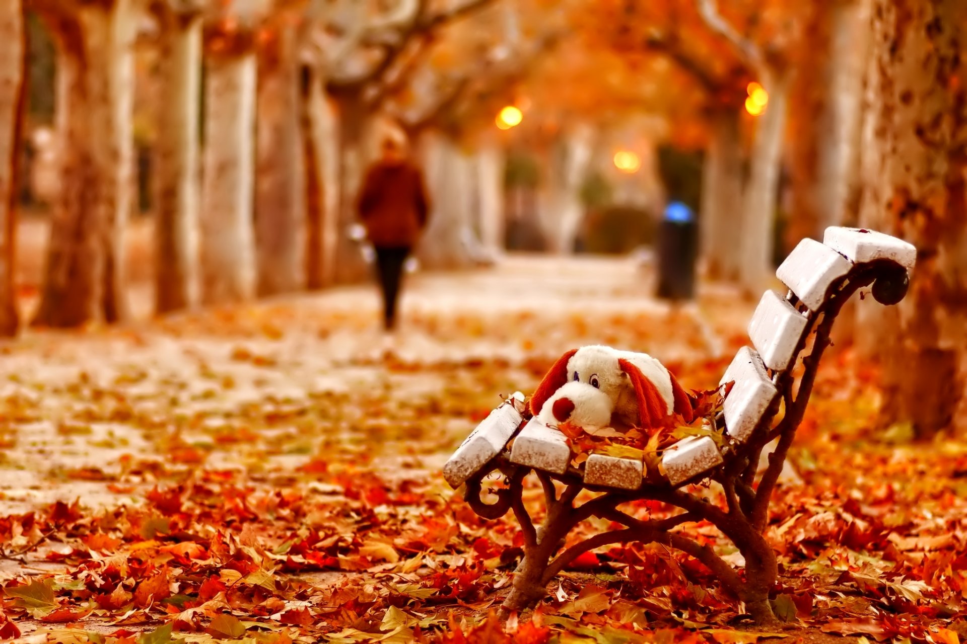 autumn foliage bench toys silhouette