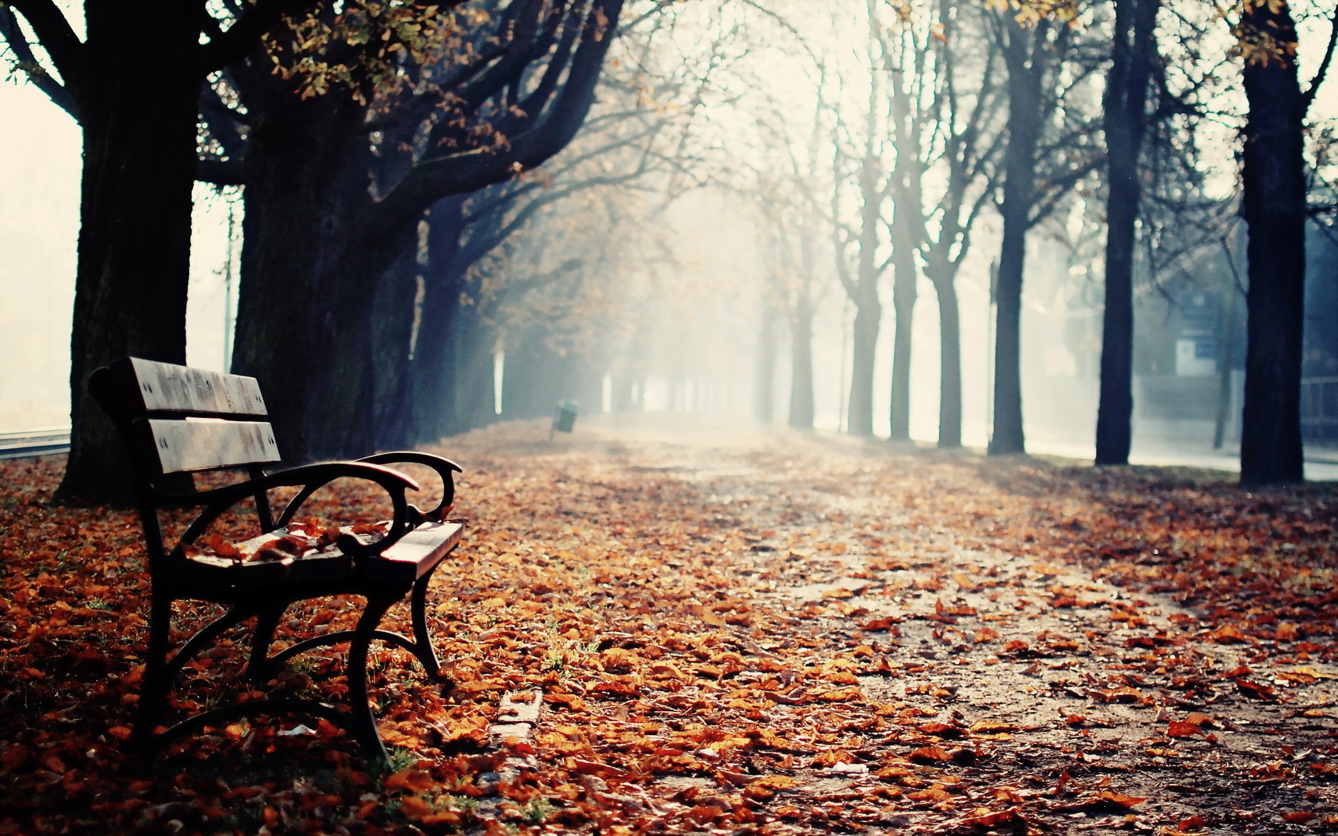 banc parc automne