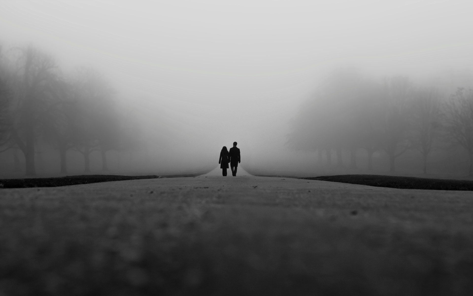 moods darkness girl guy man woman silhouettes couple couple lovers silence road asphalt fog trees night background love wallpaper widescreen fullscreen widescreen widescreen widescr