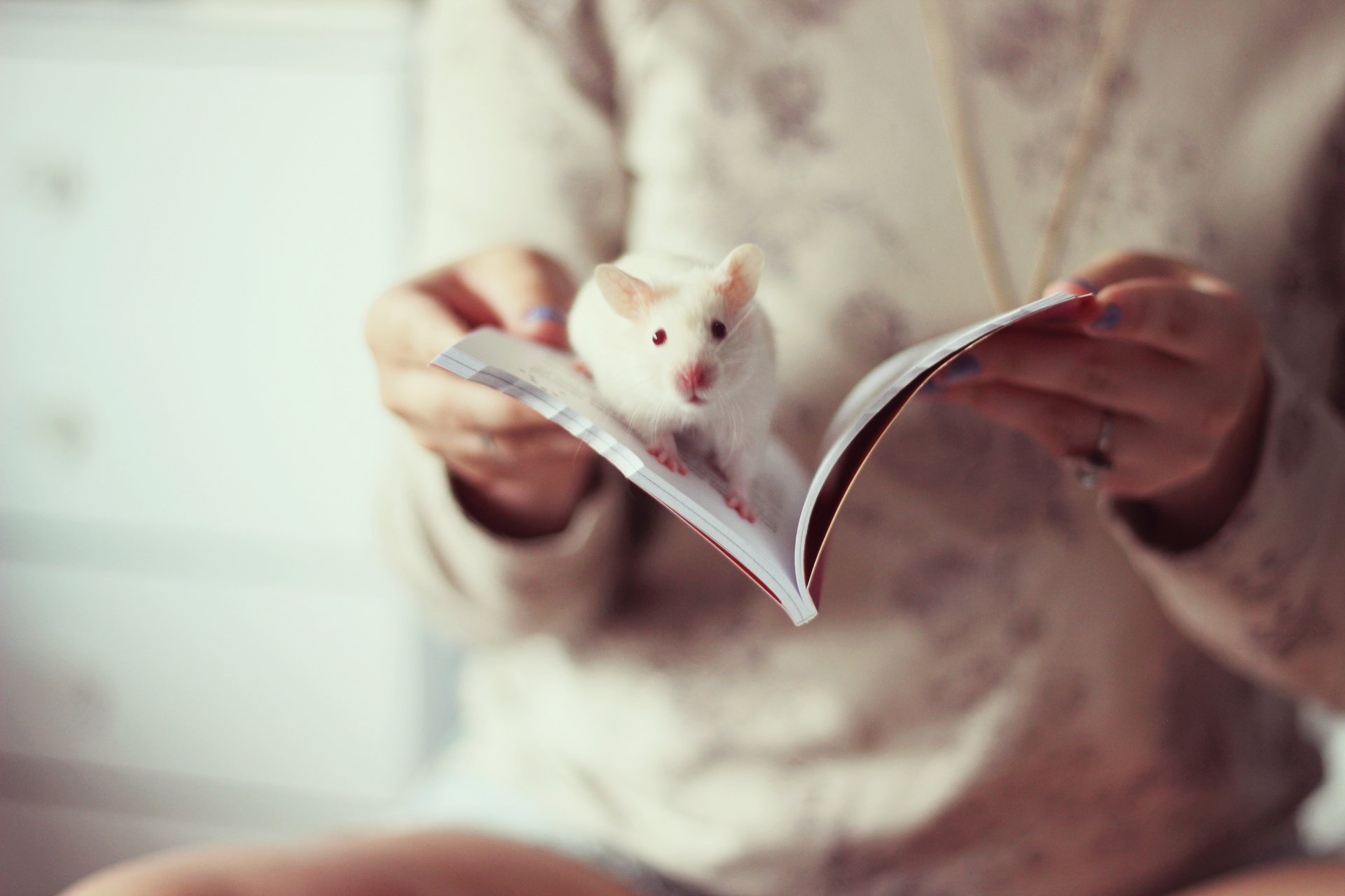 rat book mood