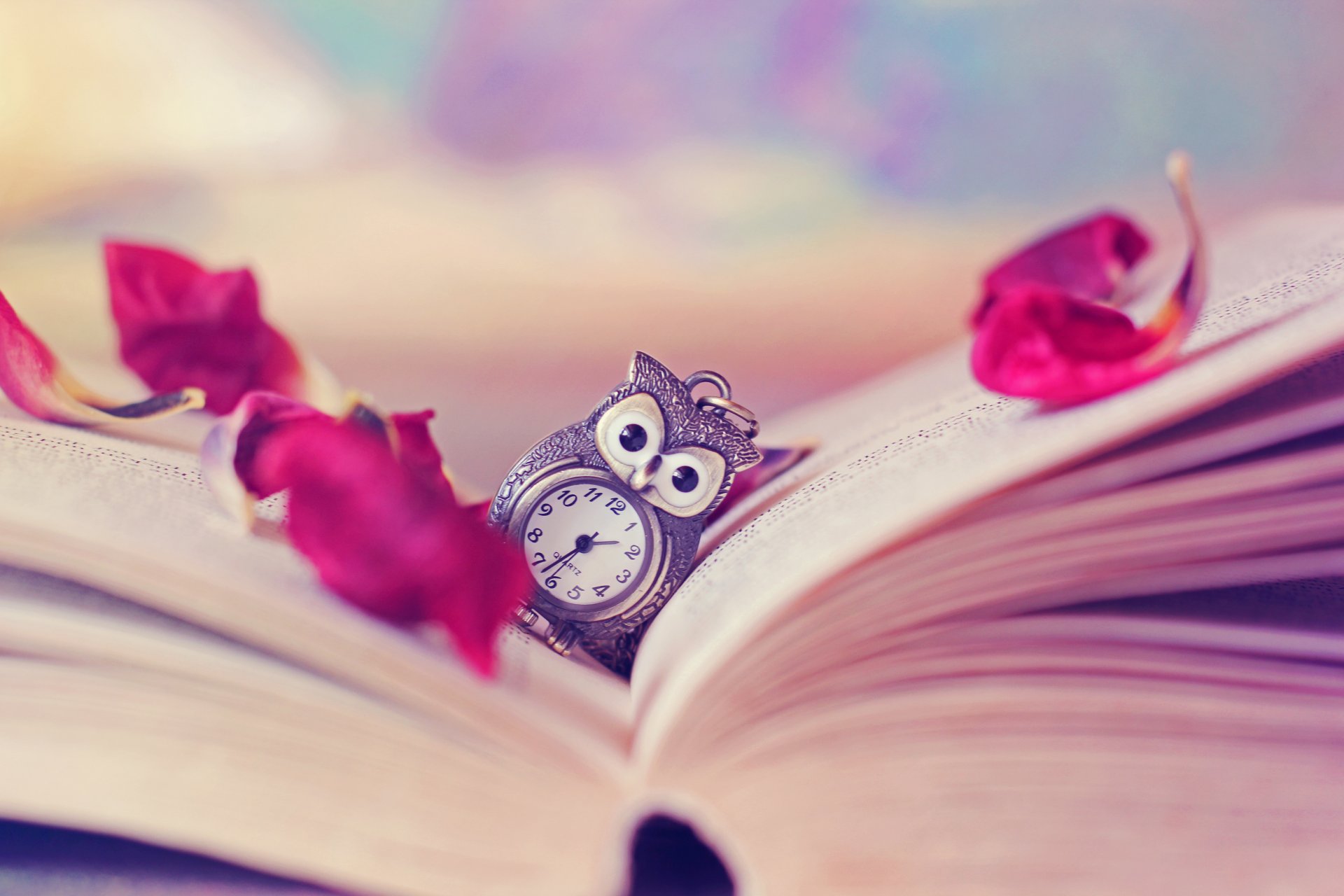 owl watches book pages petal