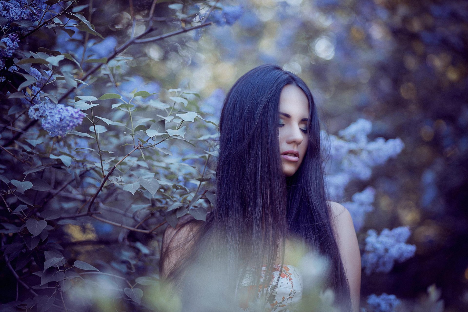 dasha bokeh lilac portrait