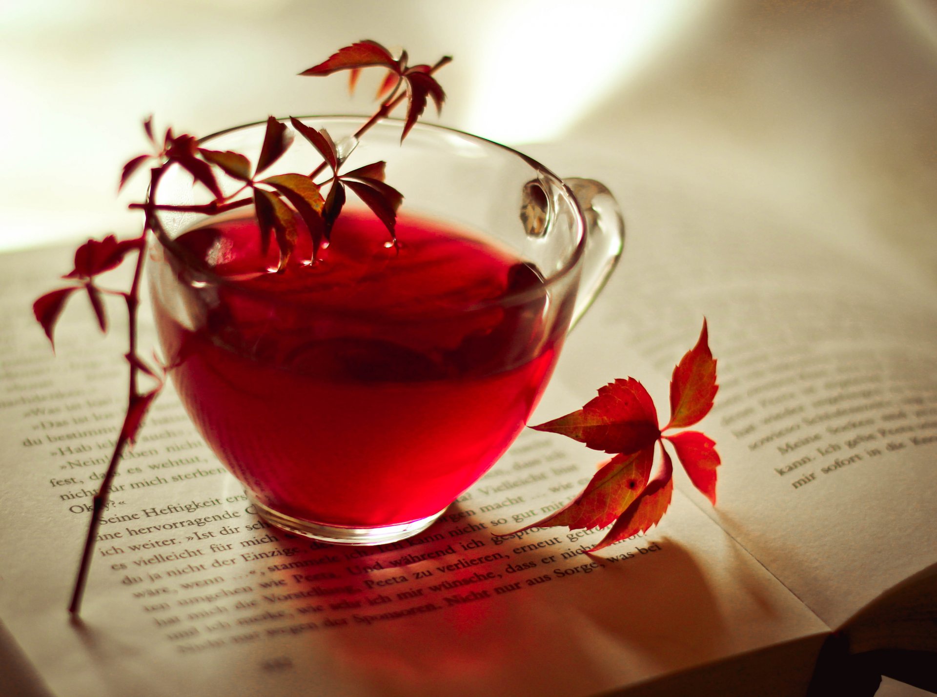 tè tazza libro foglie rosso bordeaux autunno