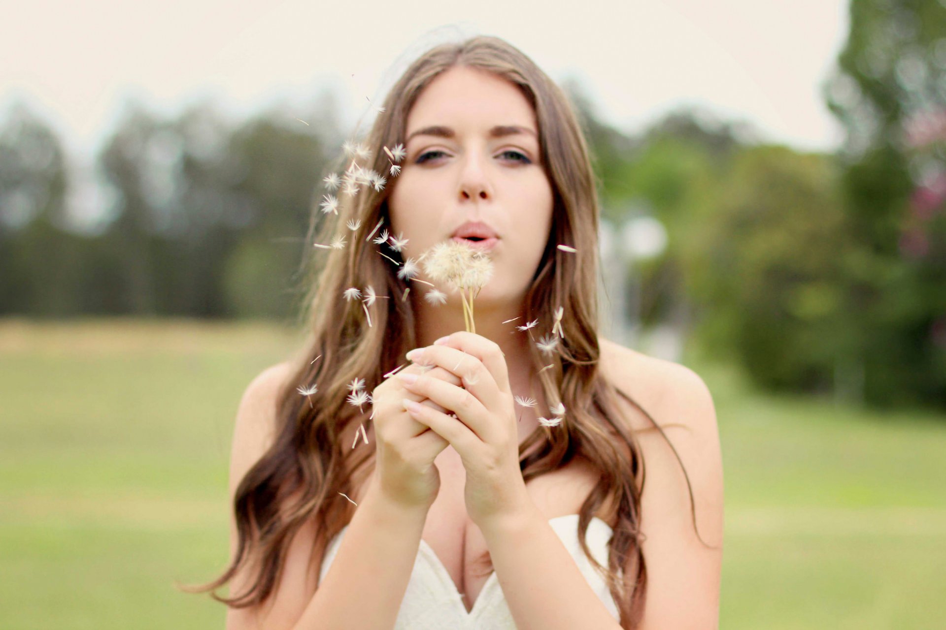 llevado por el viento chica diente de león