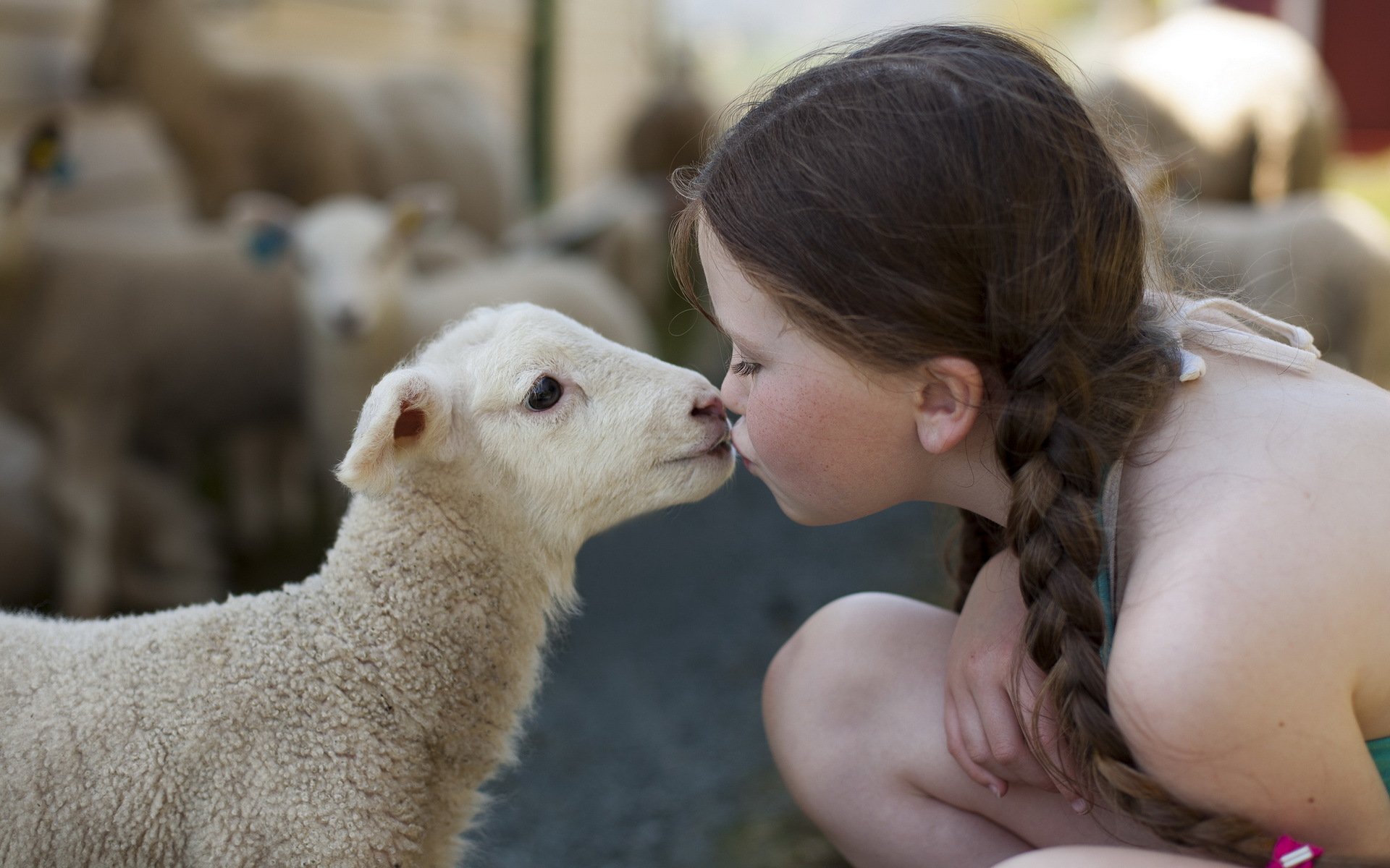 girl sheep mood