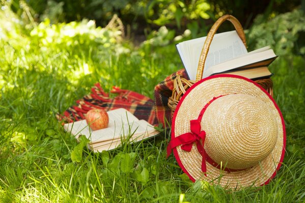 La Natura morta estiva perfetta: radura estiva, plaid, libro, mela e cappello di paglia