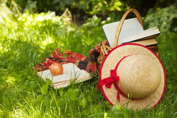 Idealna letnia Martwa natura: letnia Polana, kratka, książka, jabłko i słomkowy kapelusz