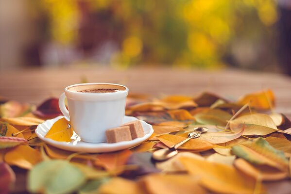 Taza blanca con café y azúcar en un platillo sobre un fondo de hojas de otoño