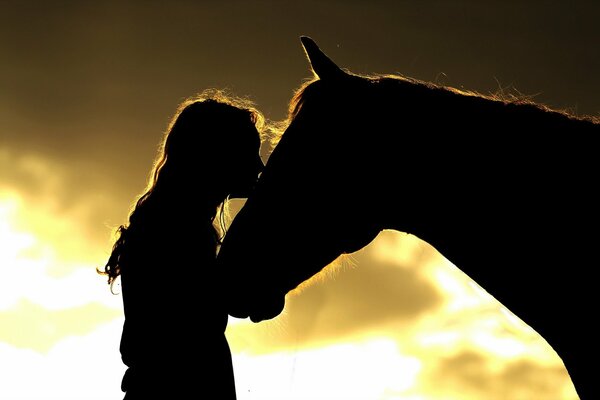 A girl kisses a horse at sunset