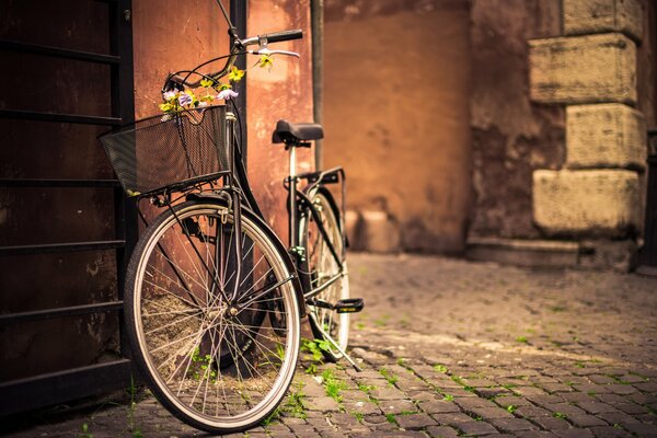 Bicicleta con cesta de pie en la carretera