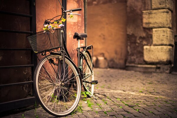 Велосипед с корзиной стоит на дороге