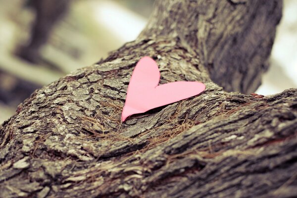 Corazón de papel en un árbol