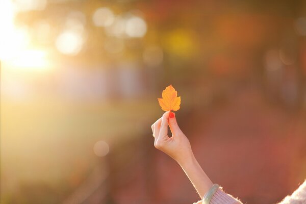 La mano de una niña con una hoja amarilla de otoño