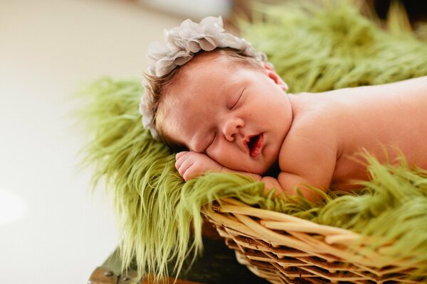 Photo session of a newborn baby in a basket