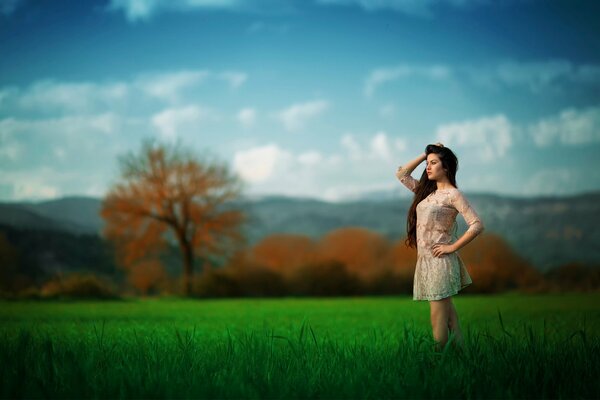 Una chica con un vestido en el fondo de un hermoso árbol de otoño y un campo enorme