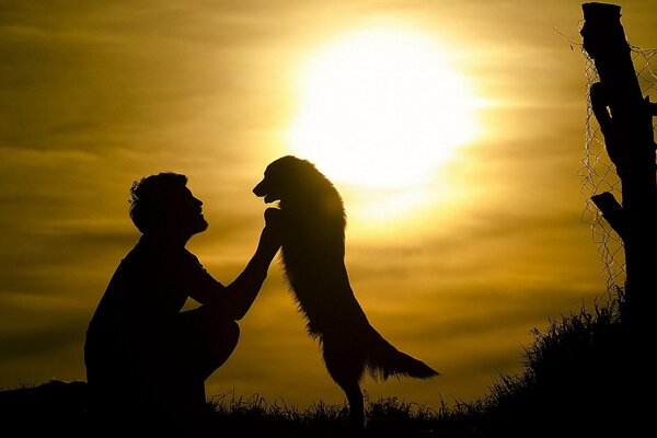 Forza gli uomini con il cane sotto il sole