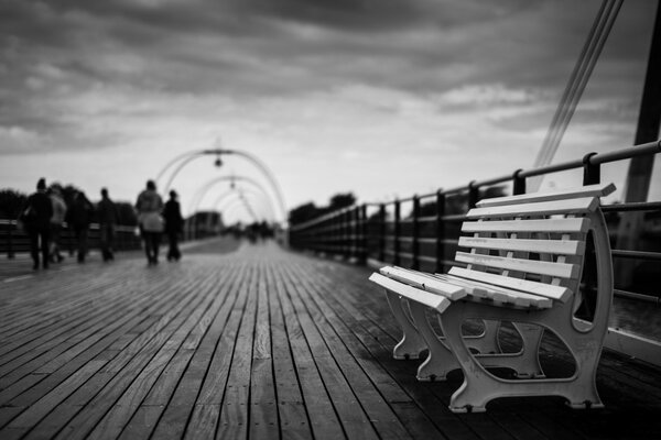 Banc dans le parc photo noir et blanc