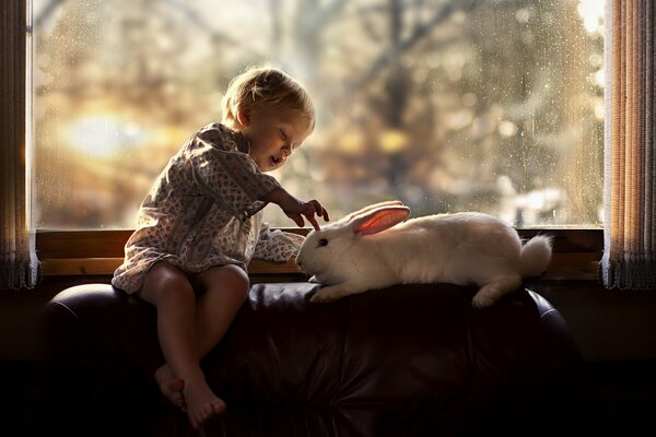 A child plays with a white rabbit by the window