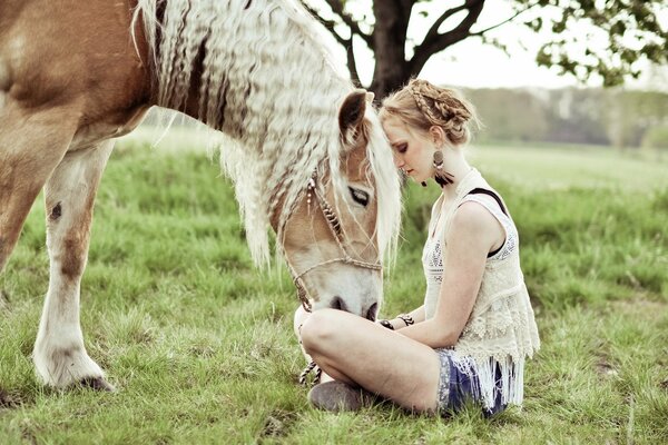 La ragazza si siede sull erba e nutre il cavallo