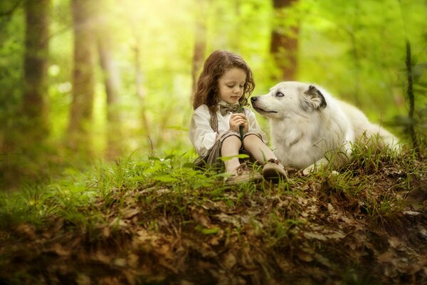 Das Mädchen und der Hund sind ein Freund