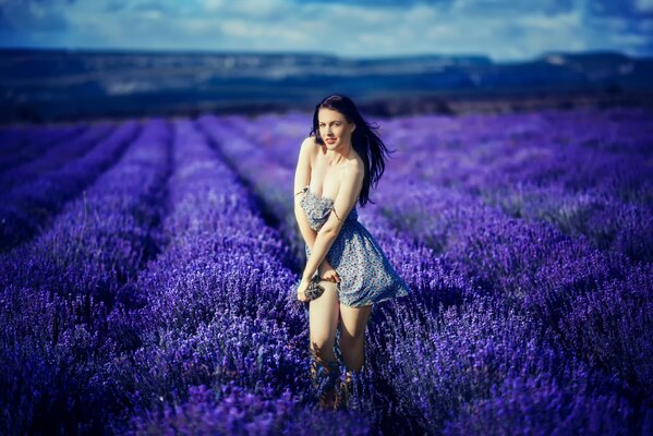 Enorme campo de lavanda y morena en un vestido del mismo color