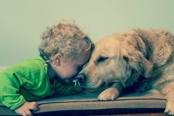 Curly-haired kid plays with a dog