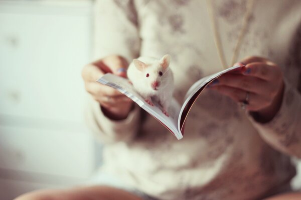 Ragazza con il libro aperto ed il ratto bianco
