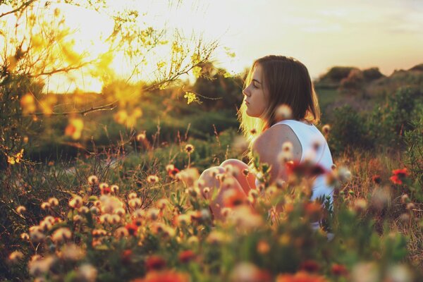 La jeune fille dans le champ de l été sur fond de coucher du soleil