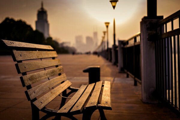 Le banc sur la promenade du soir