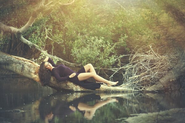 Une jeune femme est assise sur une branche d arbre pour la photo