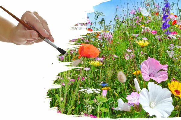 Feldgemalte Blumen mit einem Pinsel von der geschickten Hand des Künstlers