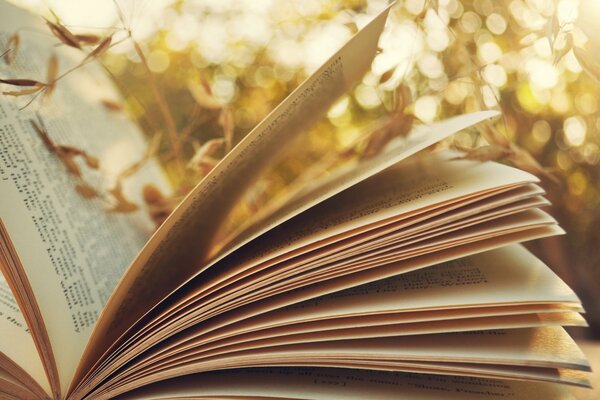 Pages du livre ouvert sur fond de nature