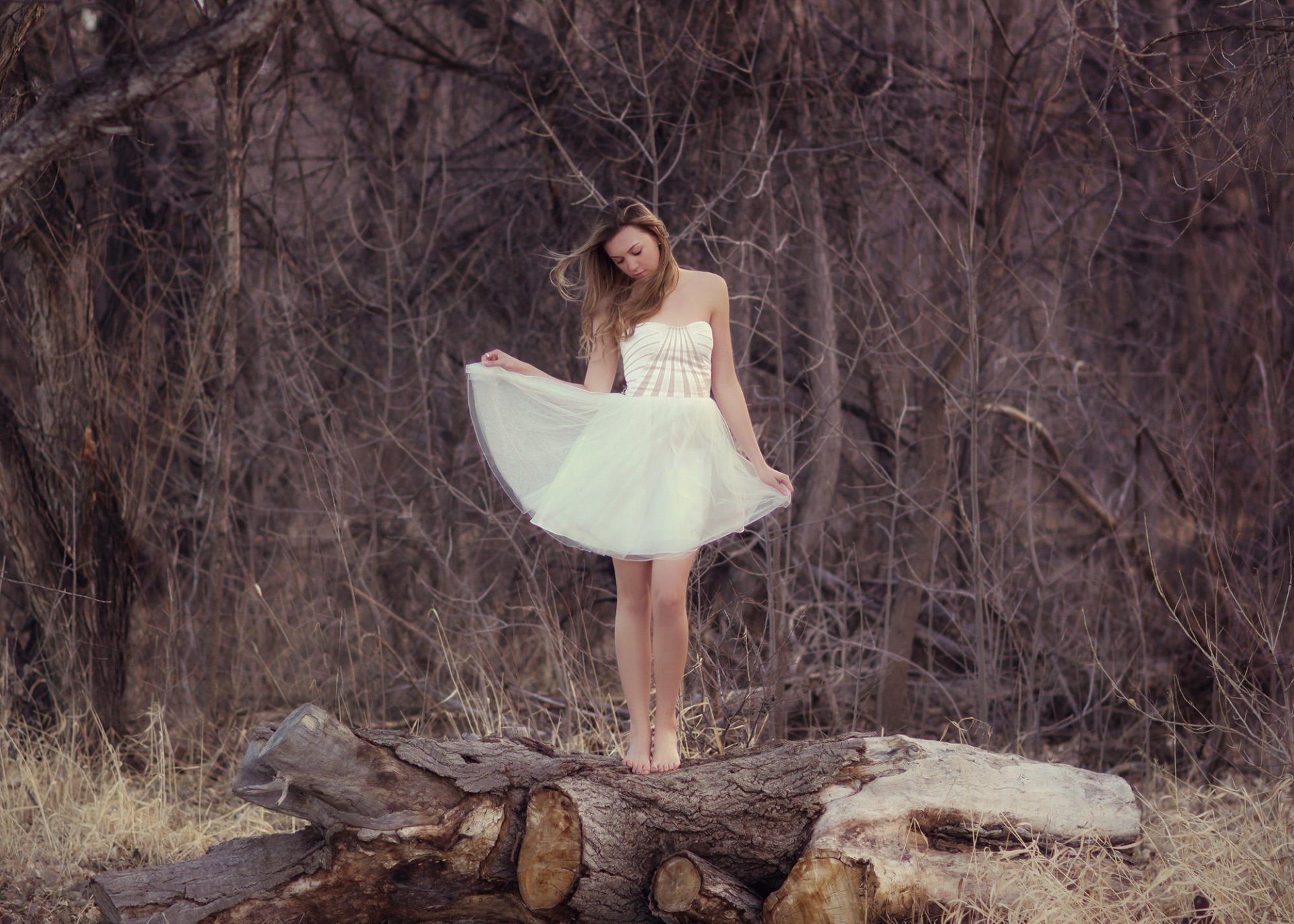 la jeune fille la forêt la robe de