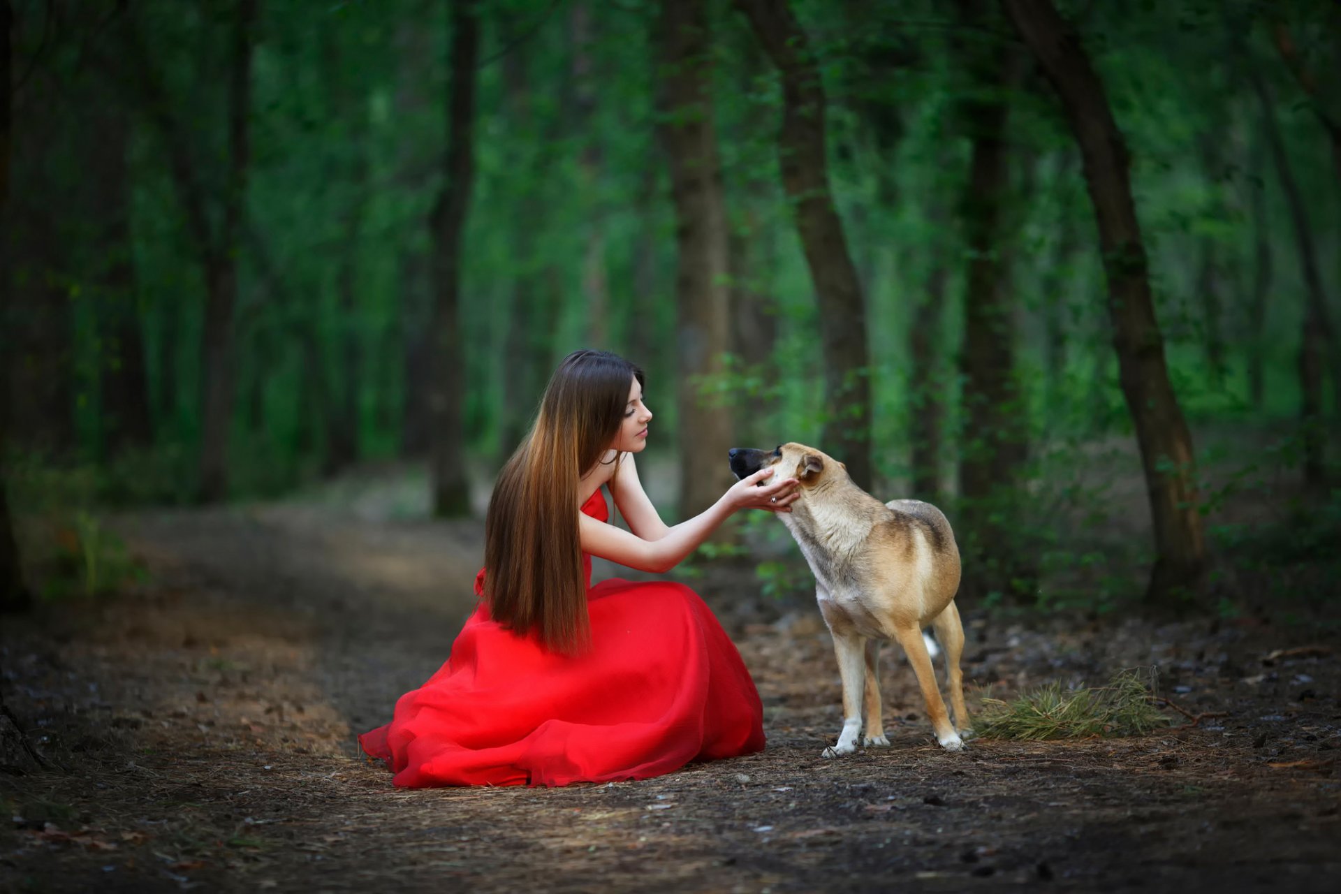 rotes kleid wald mädchen hund freundschaft