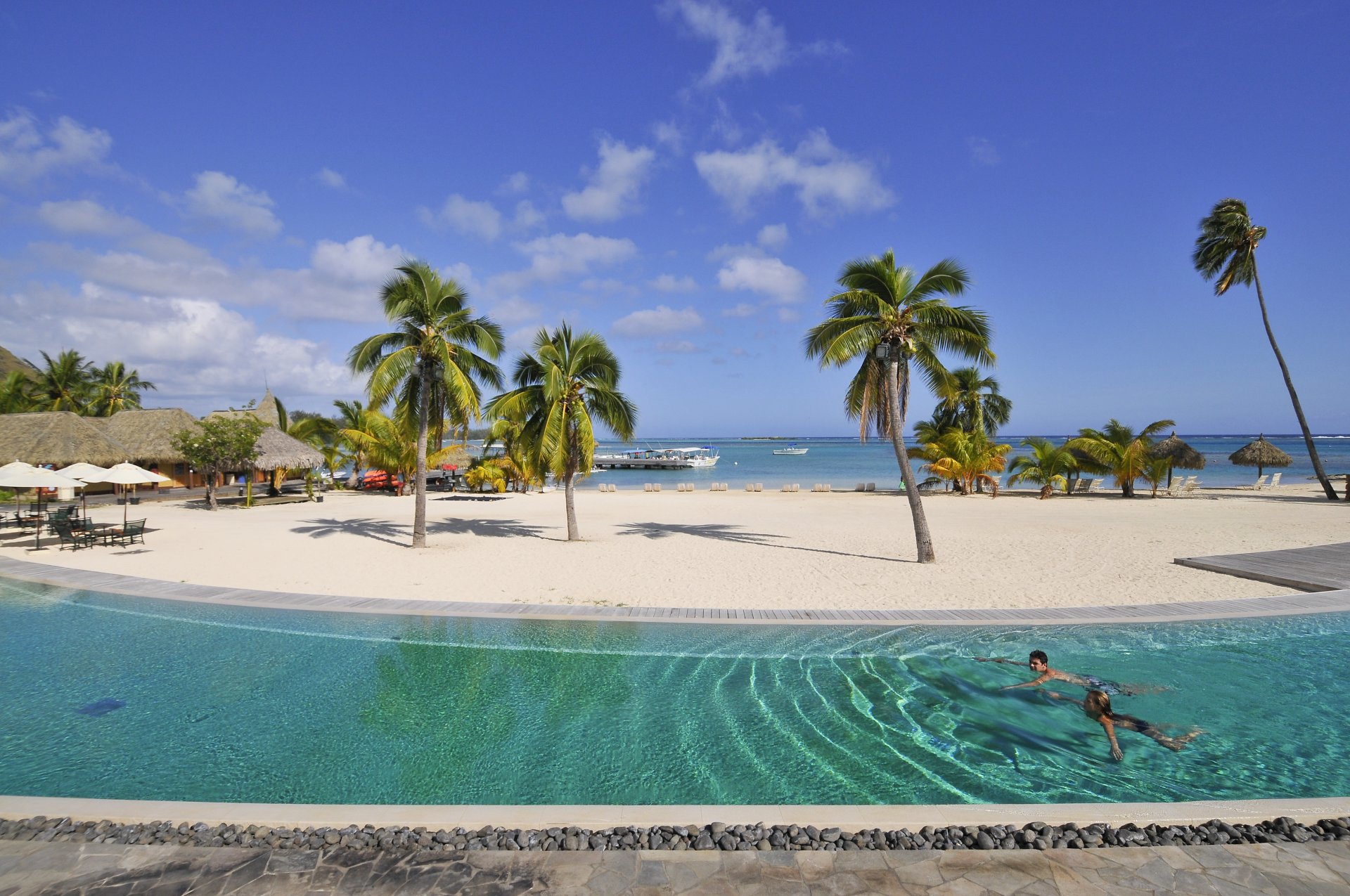 beach palm pool sports relax exotic