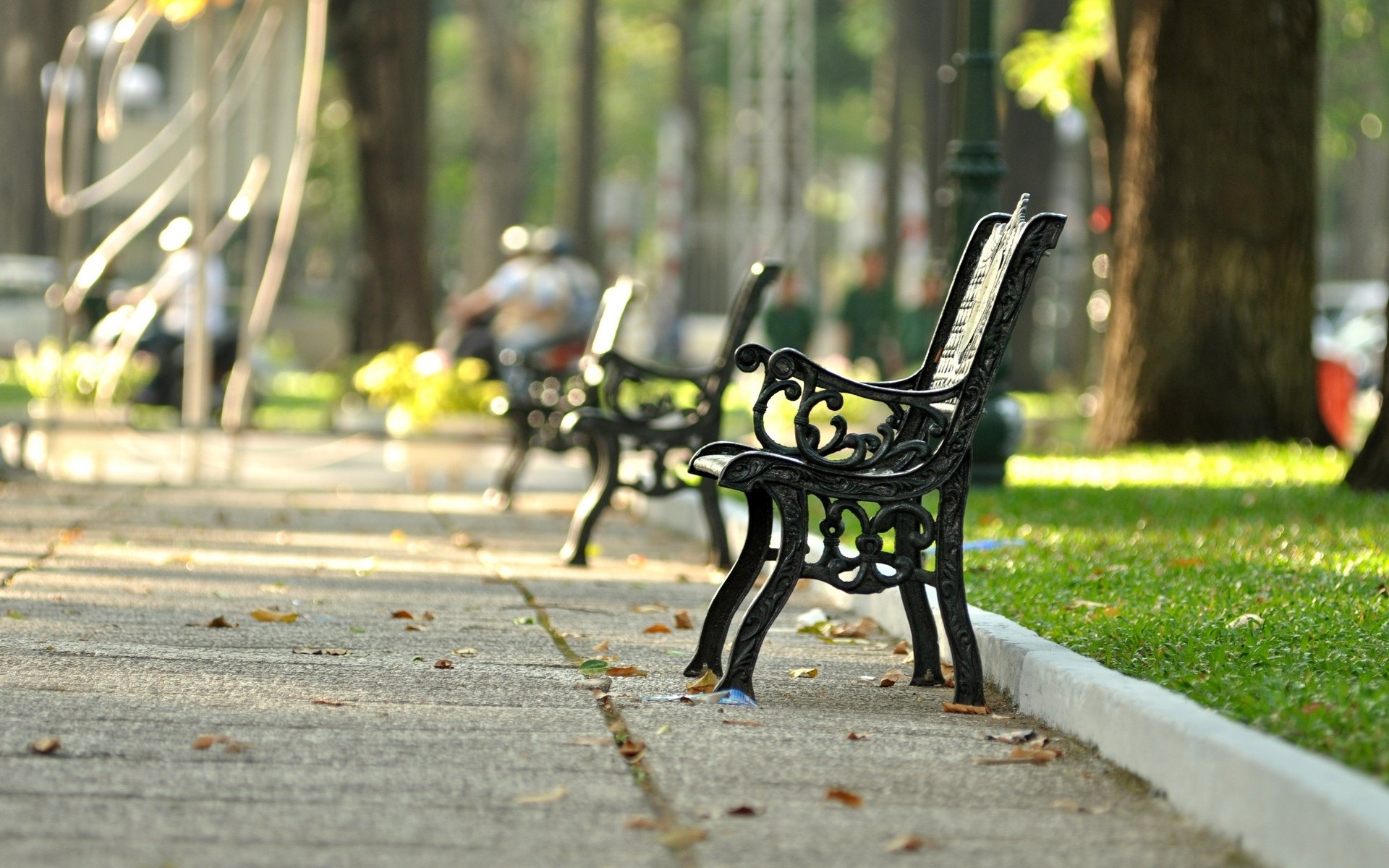 nastrój ławka ławka ławka park plac trawa zieleń liście ulica tło tapeta panoramiczny pełny ekran panoramiczny panoramiczny