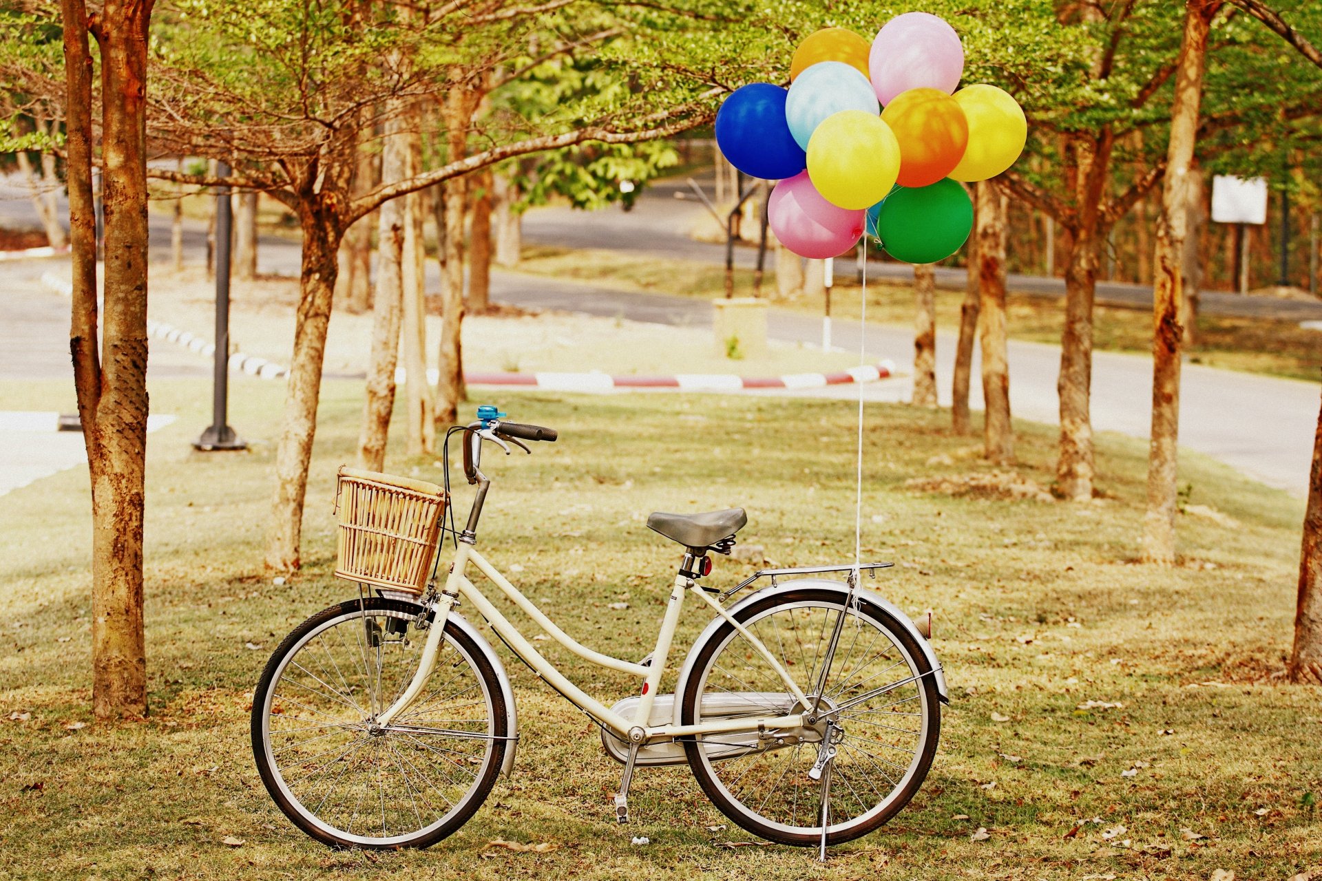 stimmung fahrrad rad korb luftballons ballon gras grün baum bäume hintergrund tapete widescreen vollbild widescreen widescreen