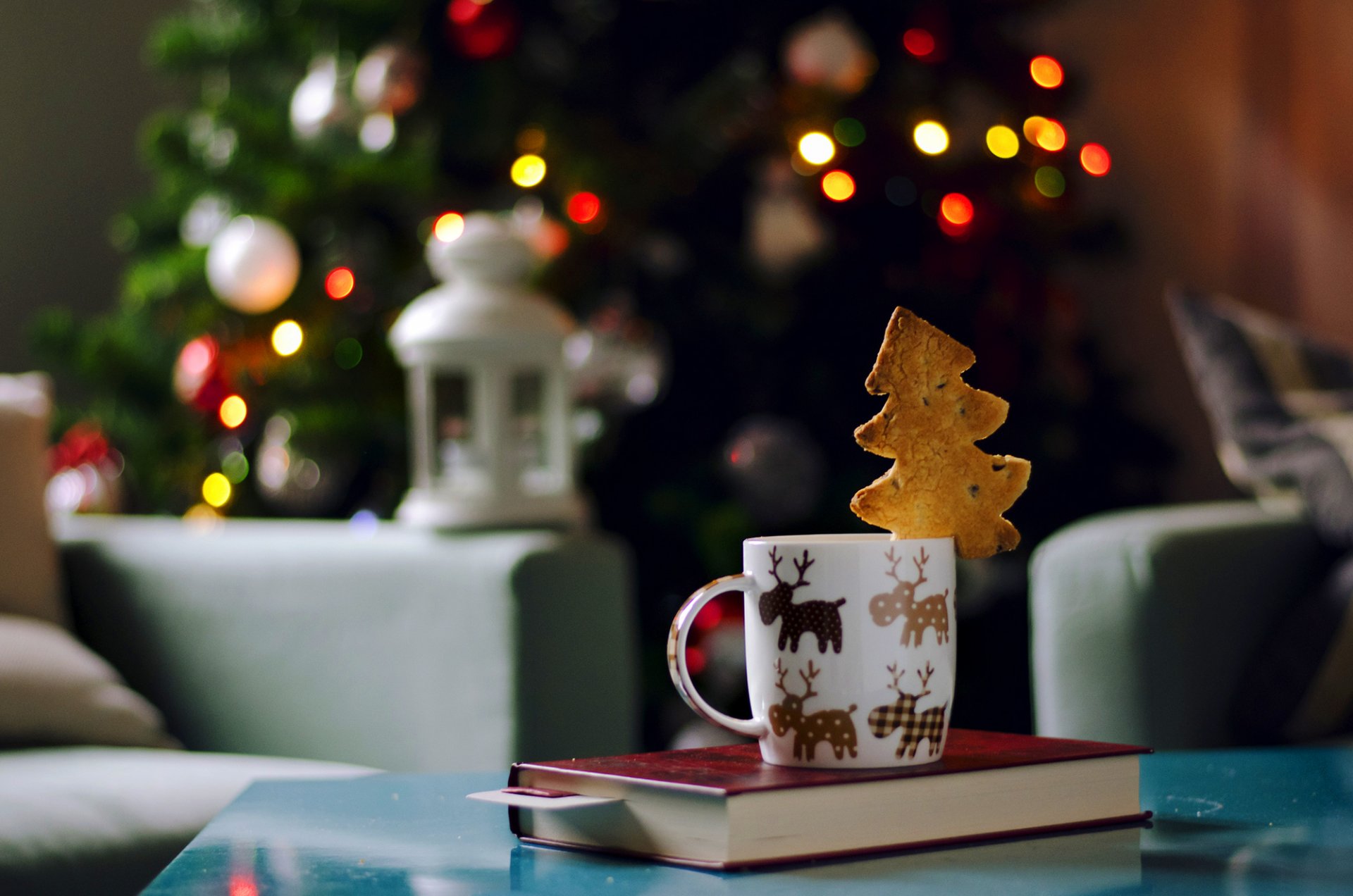 tasse buch kekse fischgräten sessel lichter taschenlampe laterne girlande feiertage weihnachten neujahr