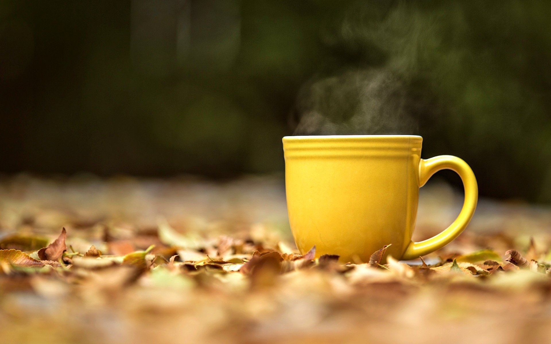 mood mug cup yellow steam hot tea tea leaves leaves yellow autumn blur macro background wallpaper widescreen fullscreen widescreen widescreen