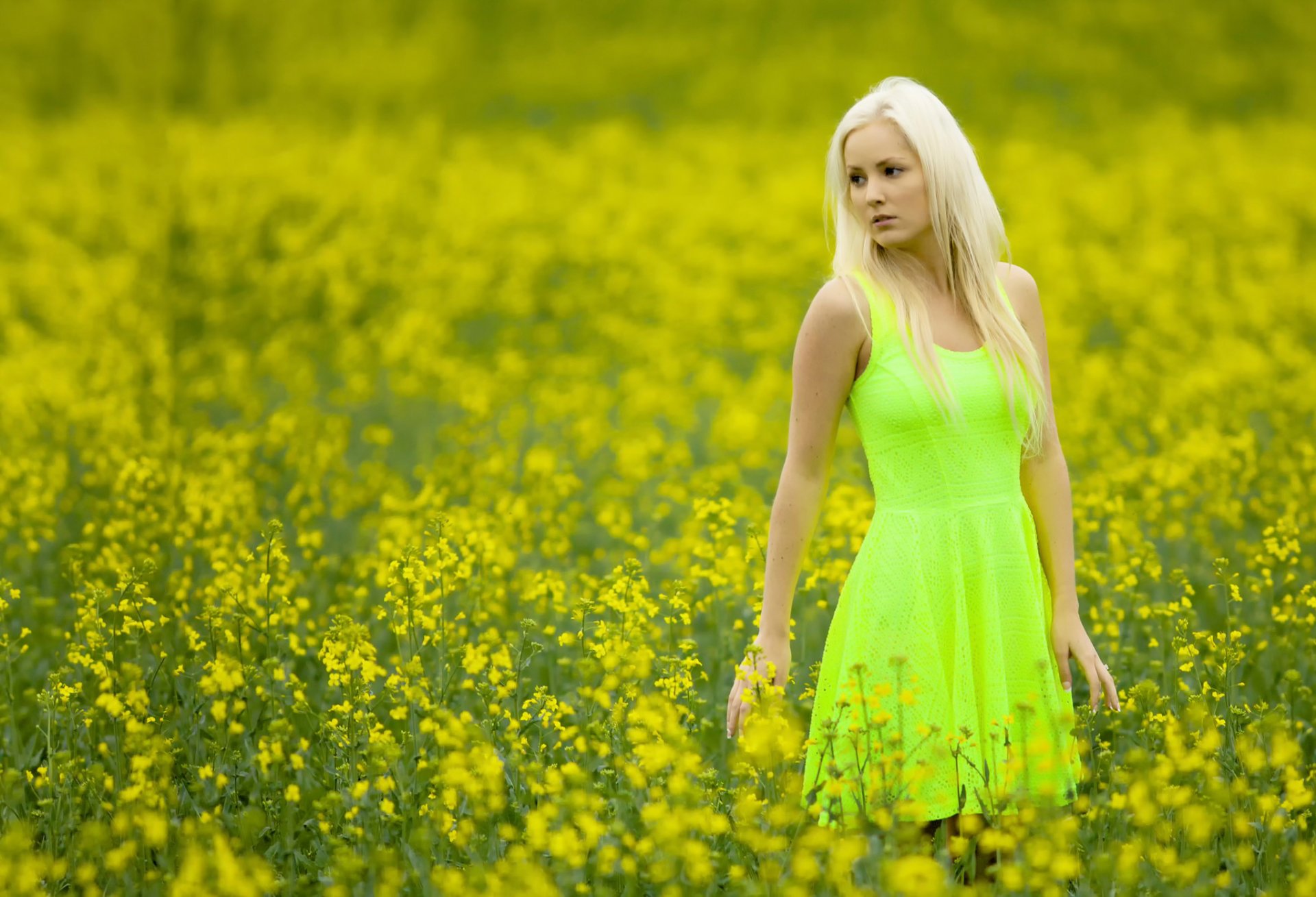 katie campo ragazza vestito colore