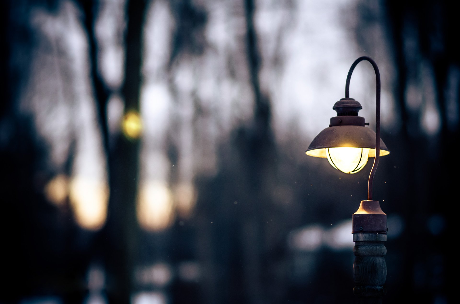 linterna luz invierno bola de nieve caída noche naturaleza árboles crepúsculo