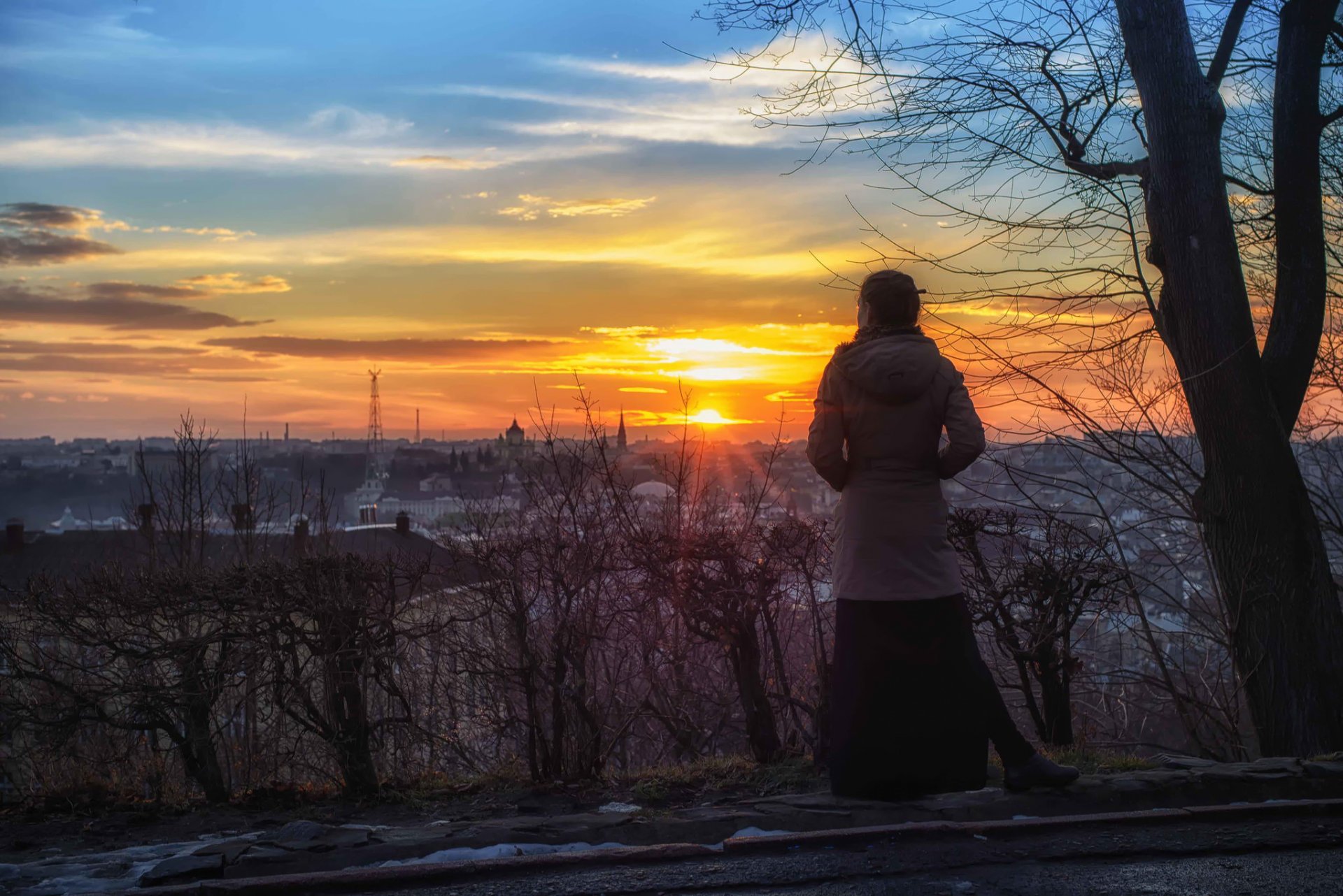 girl sun sunset views town lion