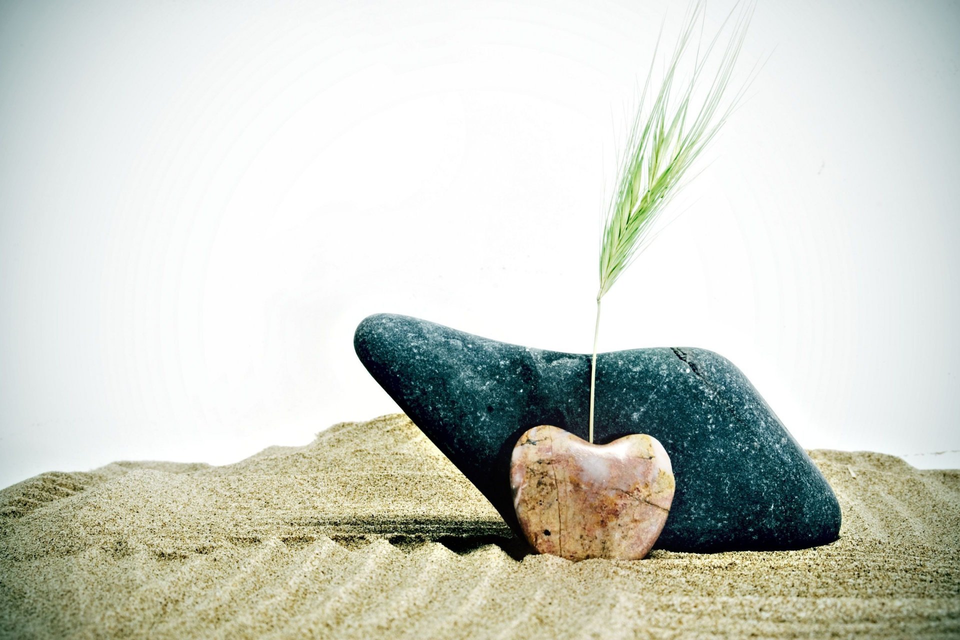 moods stones shape heart heart plant wheat rye ear ears sand background wallpaper widescreen fullscreen widescreen widescreen